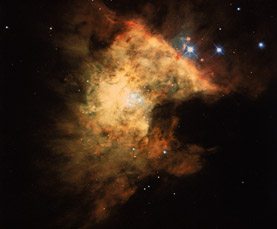 The Orion-nebula